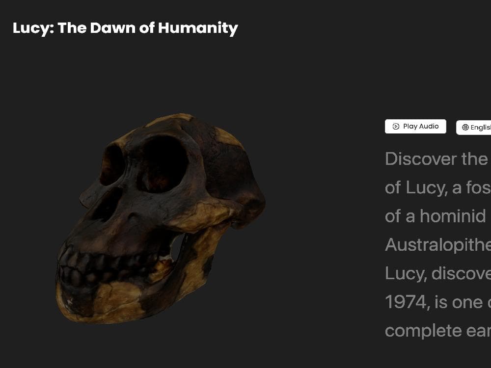 Interactive 3D Museum preview
