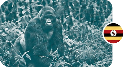 Uganda